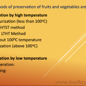 Methods of Food Preservation PPT